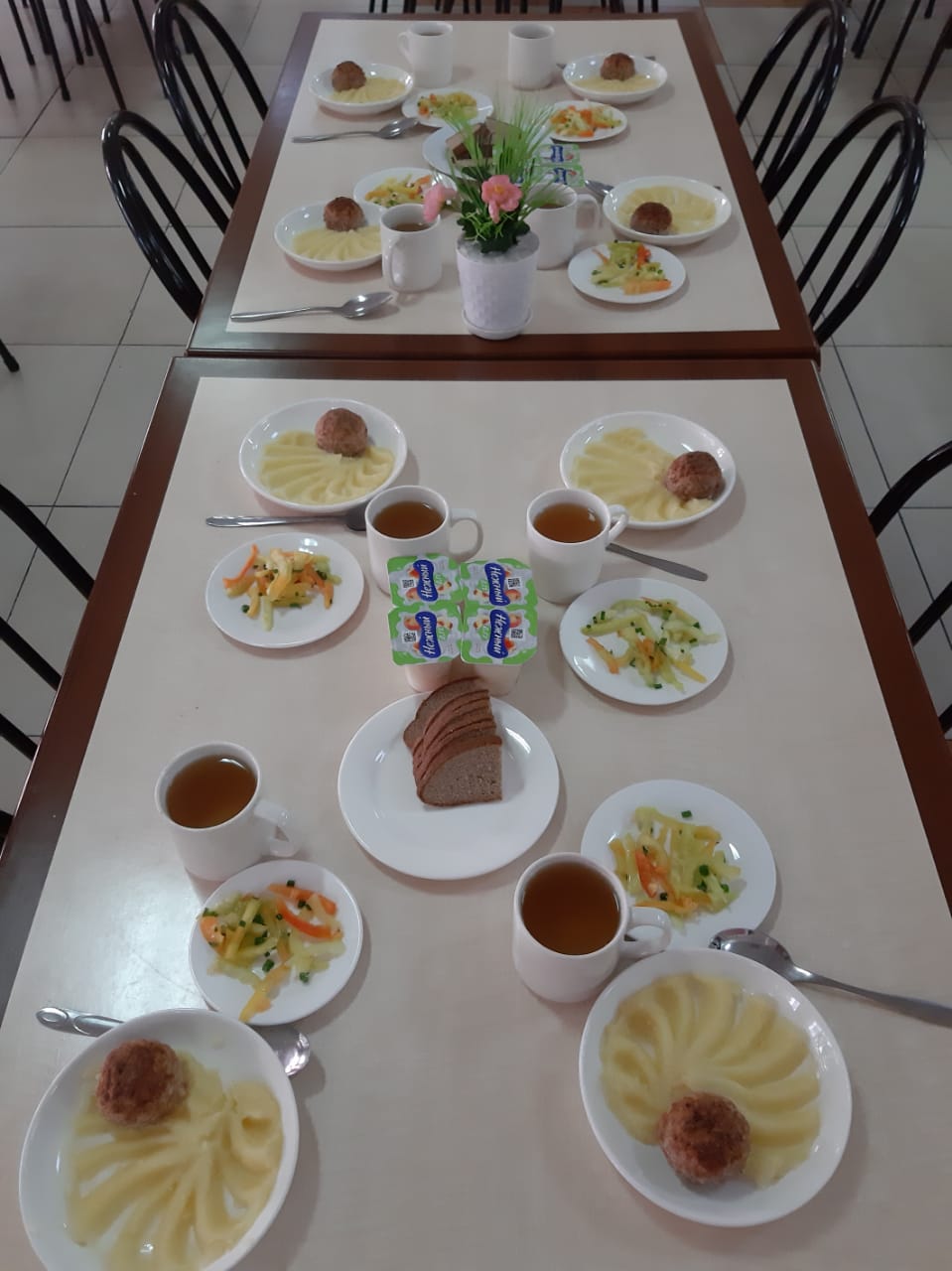 Тегін тамақтану сәтінен көрініс