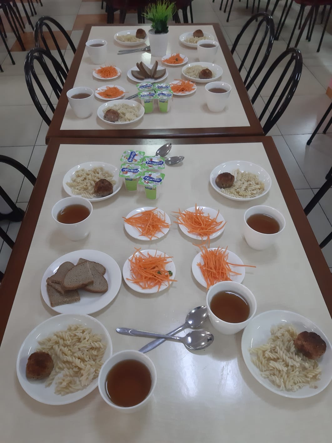 Тегін тамақтану сәтінен көрініс