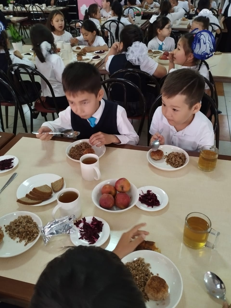 Тегін тамақтануды ұйымдастырудан көрініс