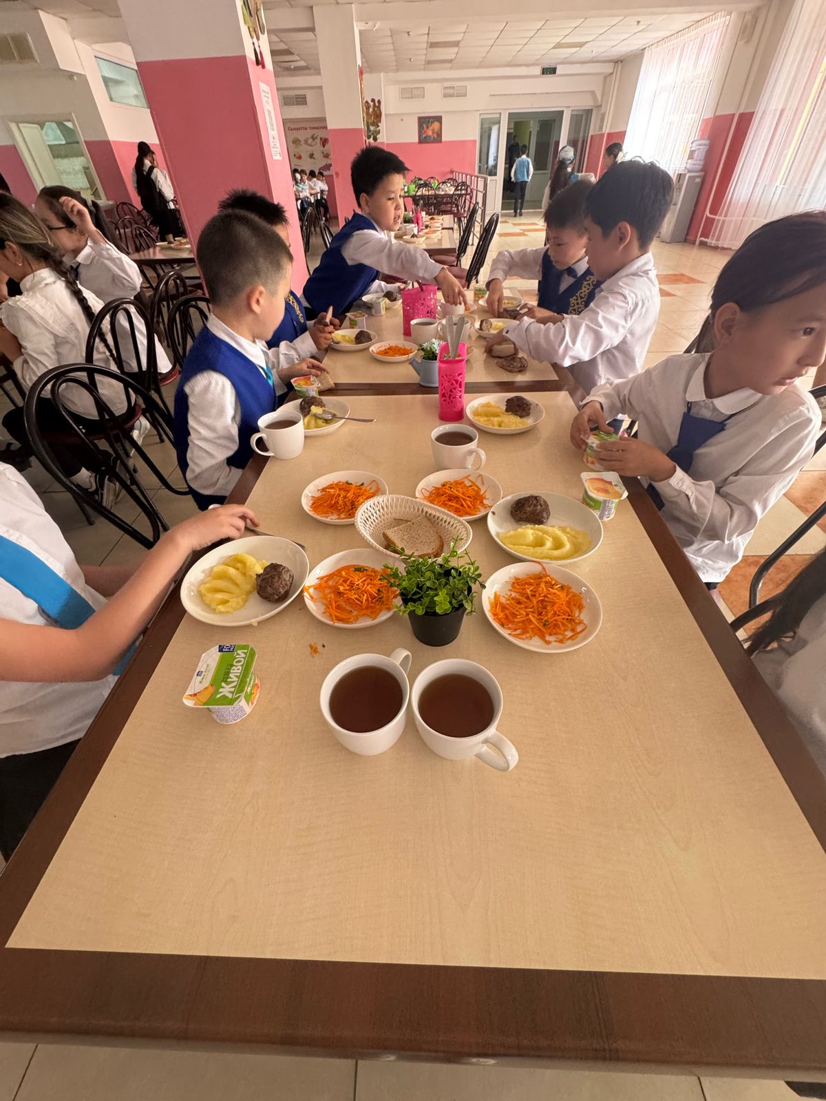 Тегін тамақтанудан көрініс