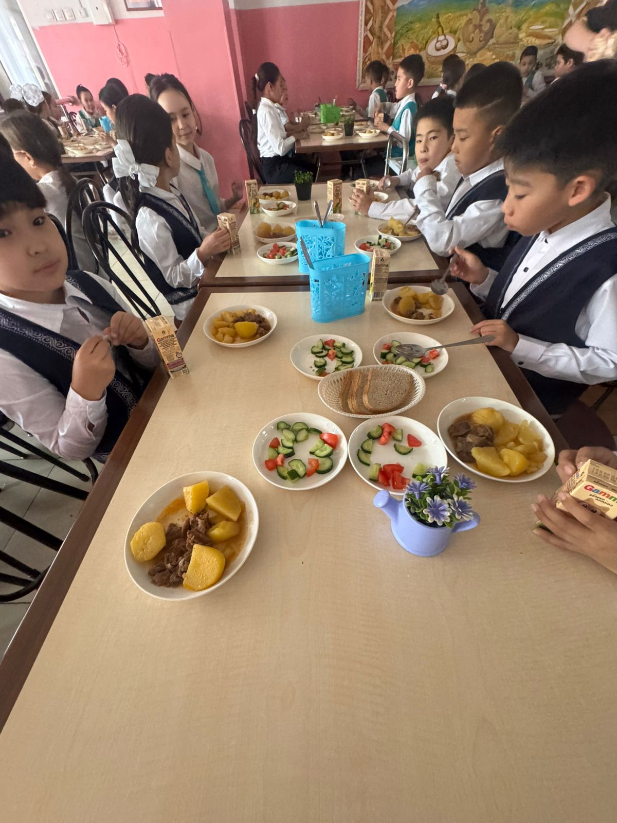 Тегін тамақтанудан көрініс