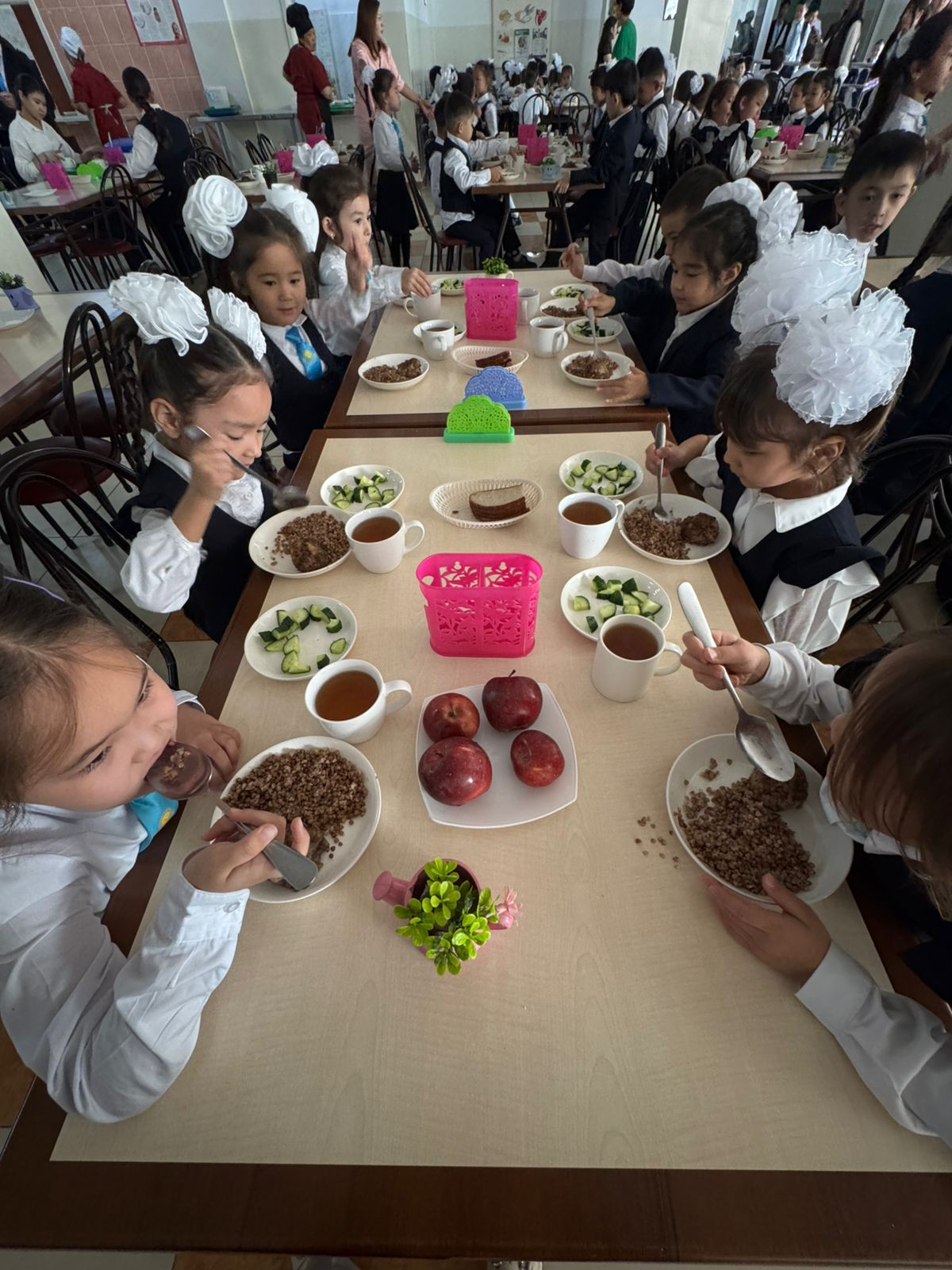 Тегін тамақтануды ұйымдастырудан көрініс