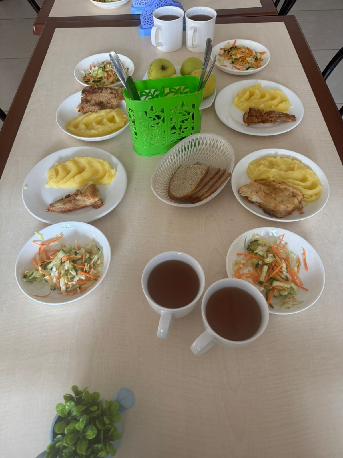 Тегін тамақтанудан көрініс