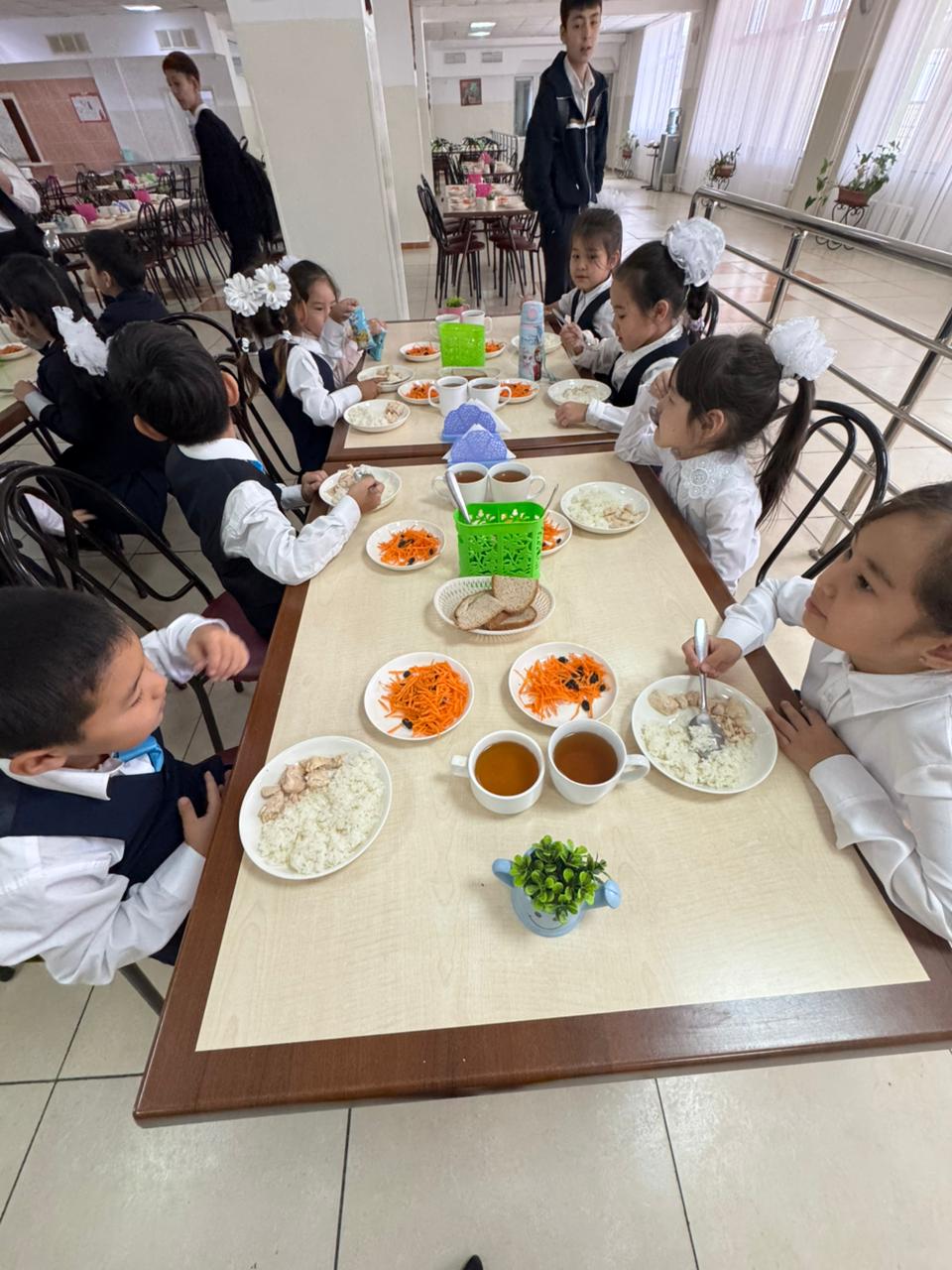 Тегін тамақтануды ұйымдастырудан көрініс