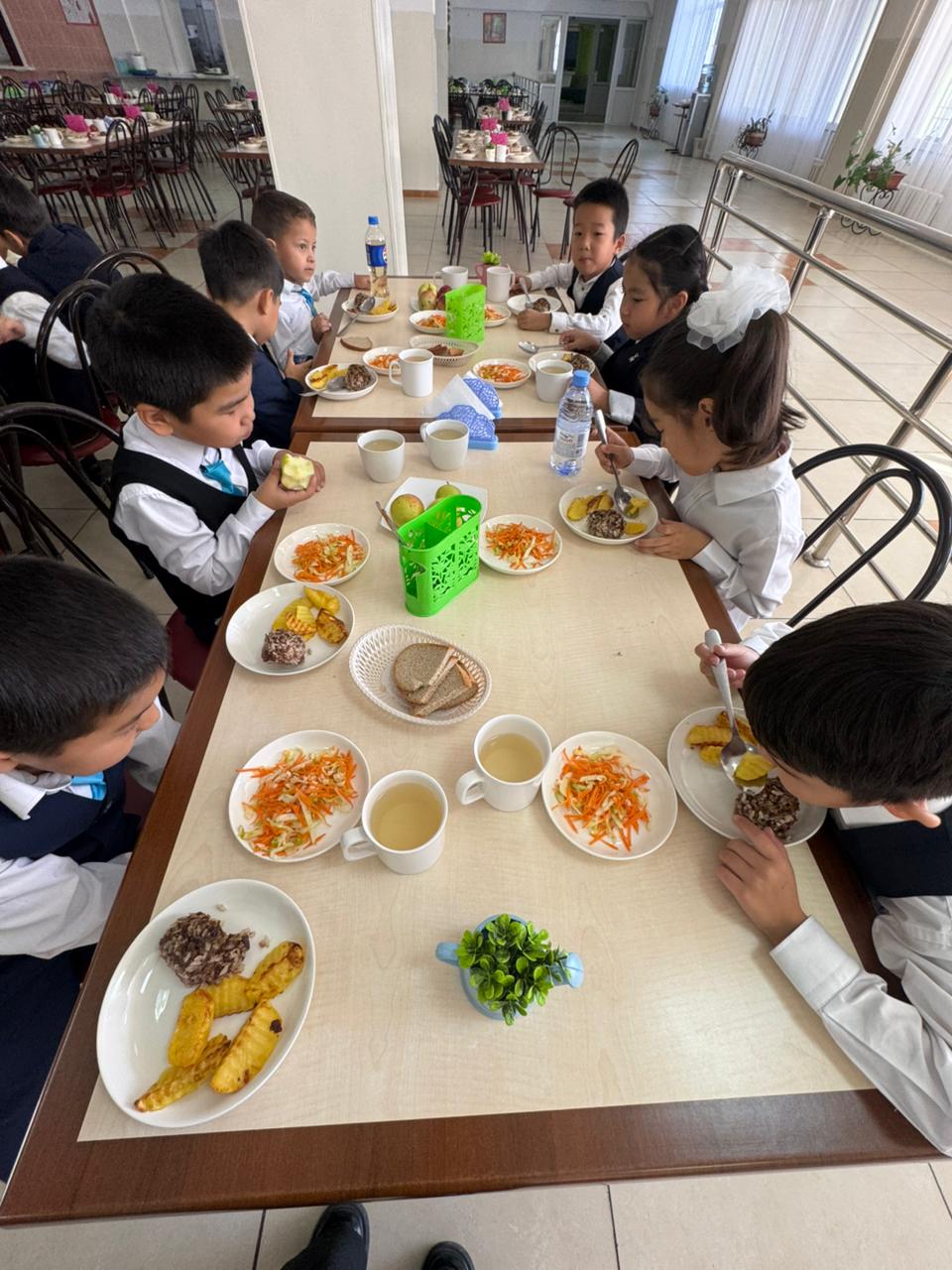 Тегін тамақтанудан көрініс