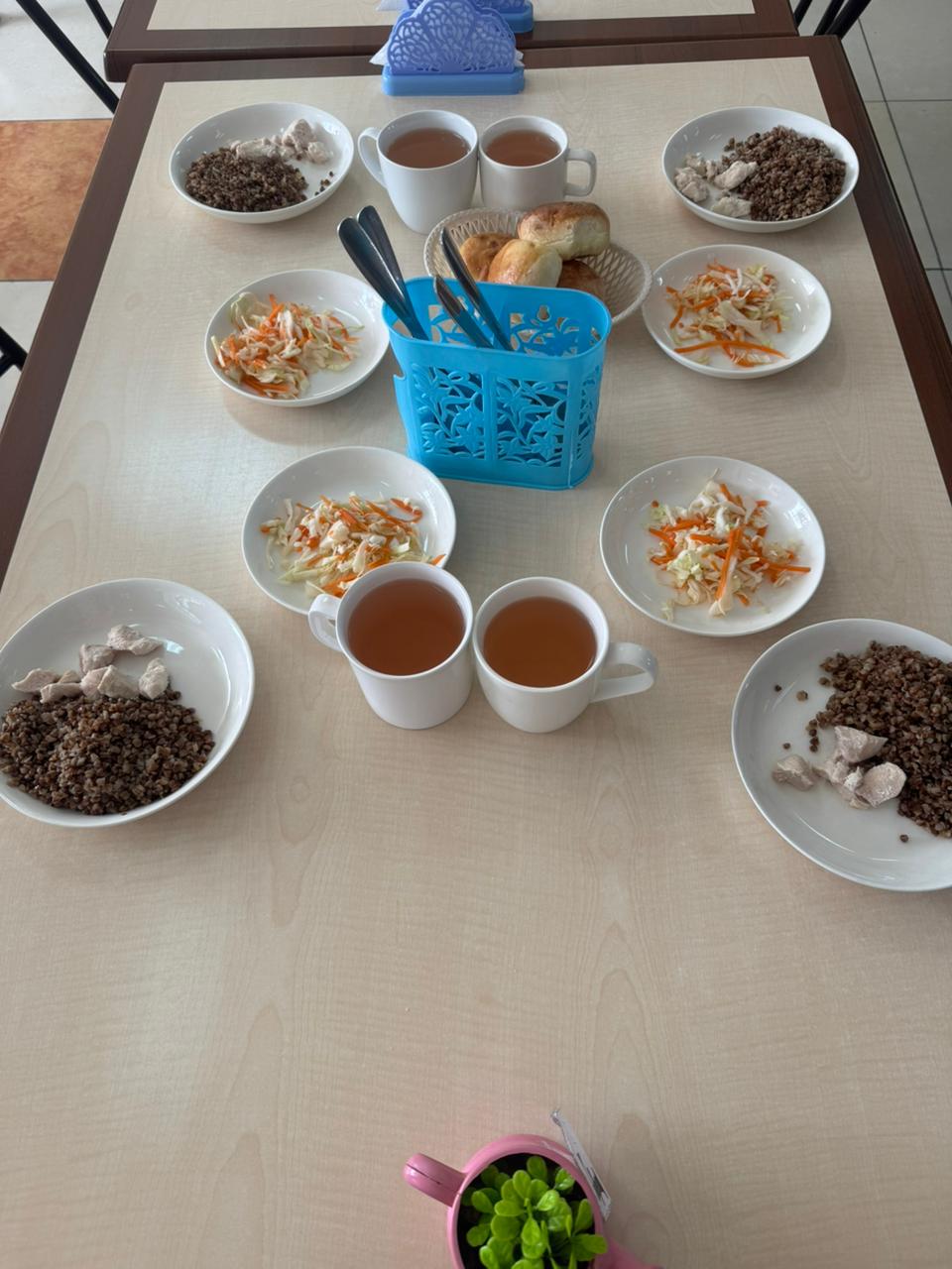 Тегін тамақтануды ұйымдастырудан көрініс