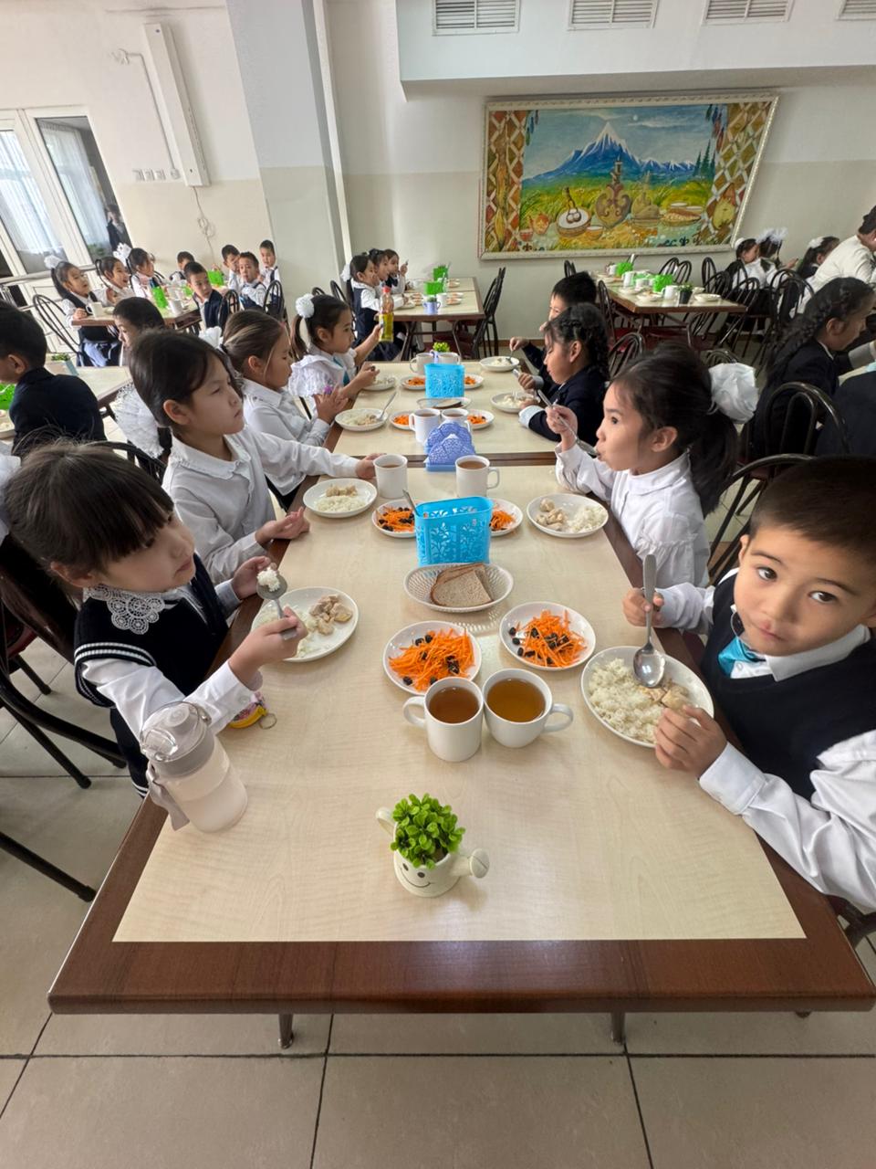 Тегін тамақтанудан көрініс