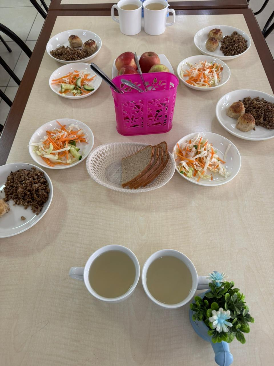 Тегін тамақтануды ұйымдастыру