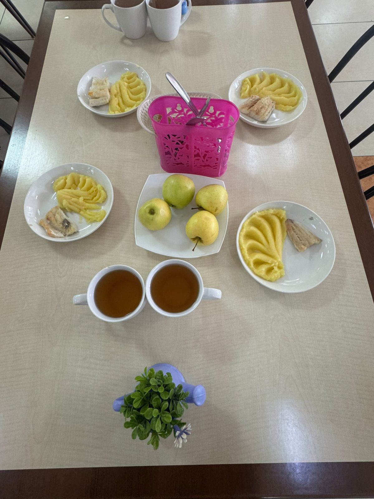 Тегін тамақтанудан көрініс