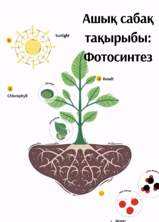 ЖИ қолданылған «Фотосинтез» тақырыбындағы сабақ